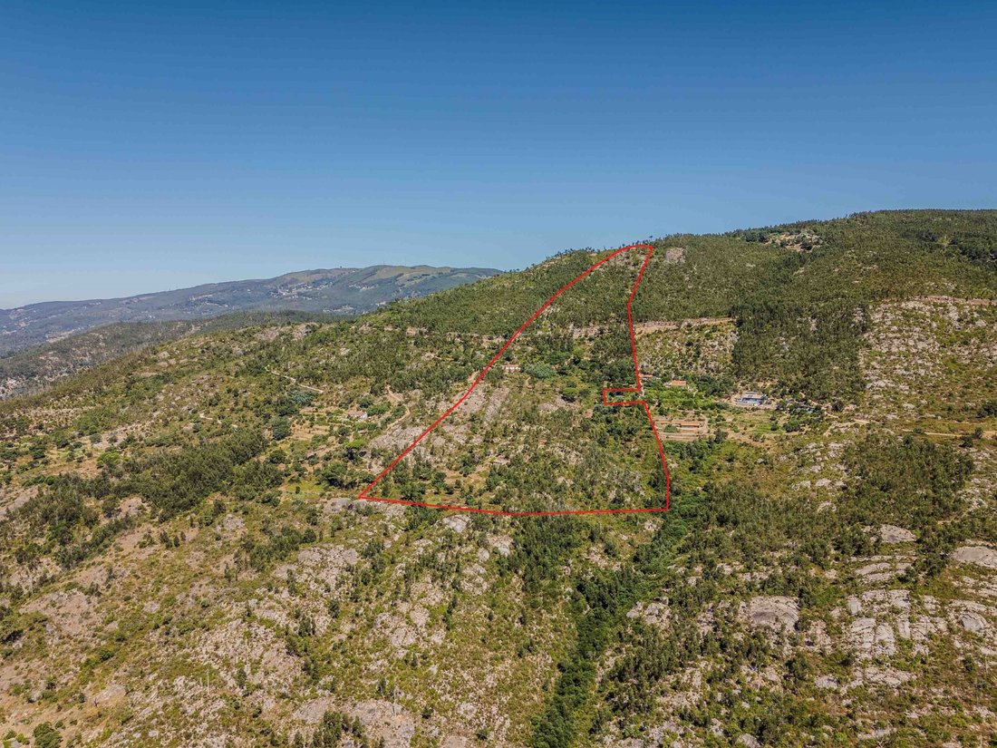 Finca in Monchique, Algarve, Portugal 5 - 16392642