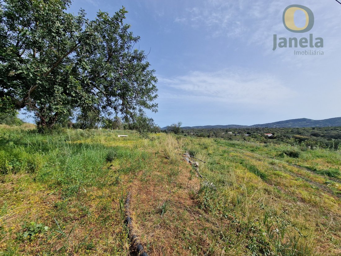 Land in Sao Bras de Alportel, Algarve, Portugal 3 - 14549529