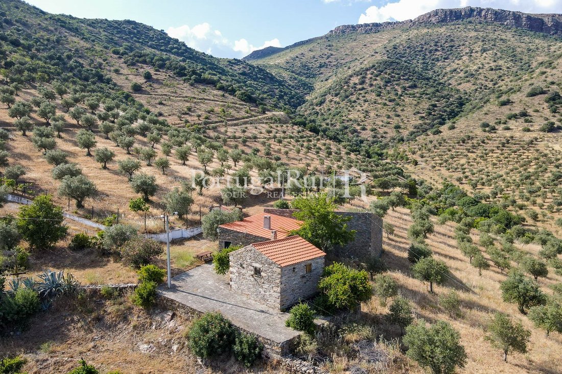 Finca in Escalhao, Guarda District, Portugal 2 - 14876566