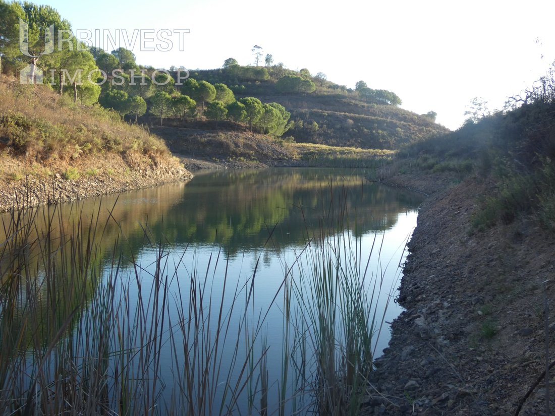 Finca in Silves, Algarve, Portugal 5 - 12312052