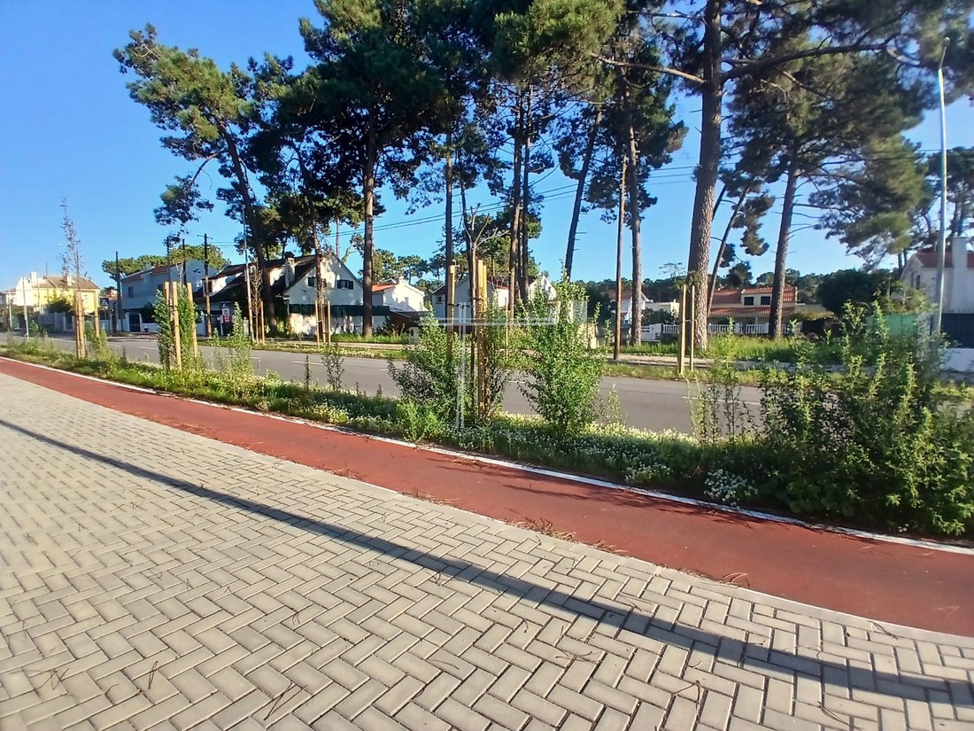 Land in Aroeira, Charneca de Caparica e Sobreda, Portugal 4 - 13039609