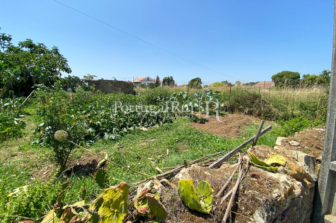 Land in Sao Martinho do Bispo e Ribeira de Frades, Coimbra District, Portugal 4 - 14876564