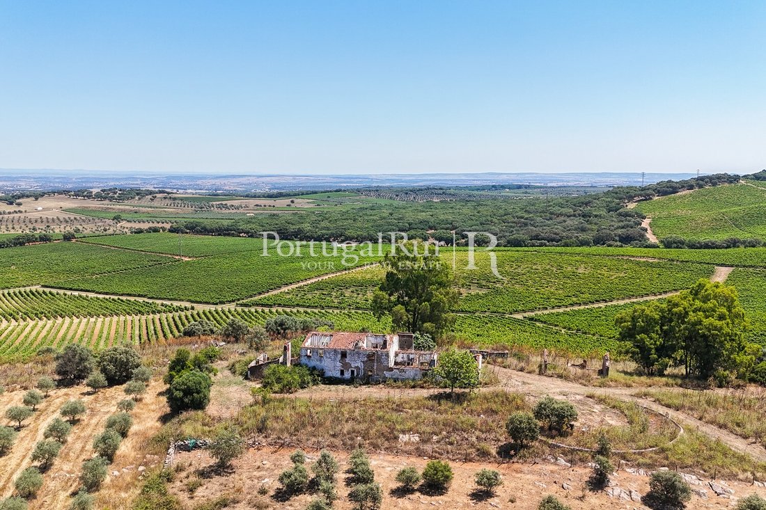 Estate in Rio Mau e Arcos, Porto District, Portugal 1 - 14596355