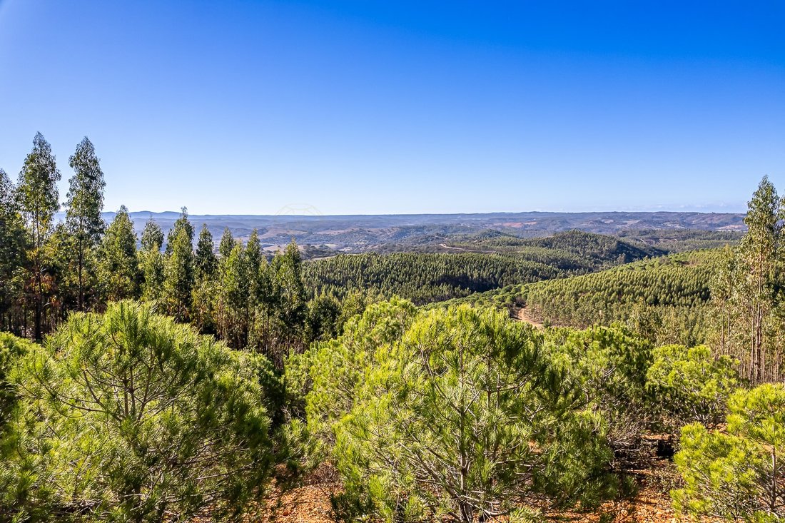 Land in Sao Salvador e Santa Maria, Beja District, Portugal 3 - 15306726
