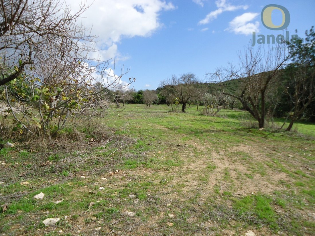 Land in Santa Barbara de Nexe, Algarve, Portugal 1 - 15711244