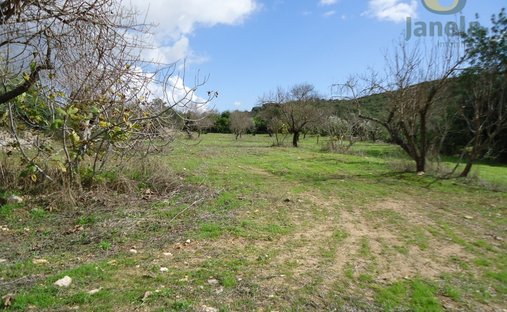 Land in Santa Barbara de Nexe, Algarve, Portugal 1