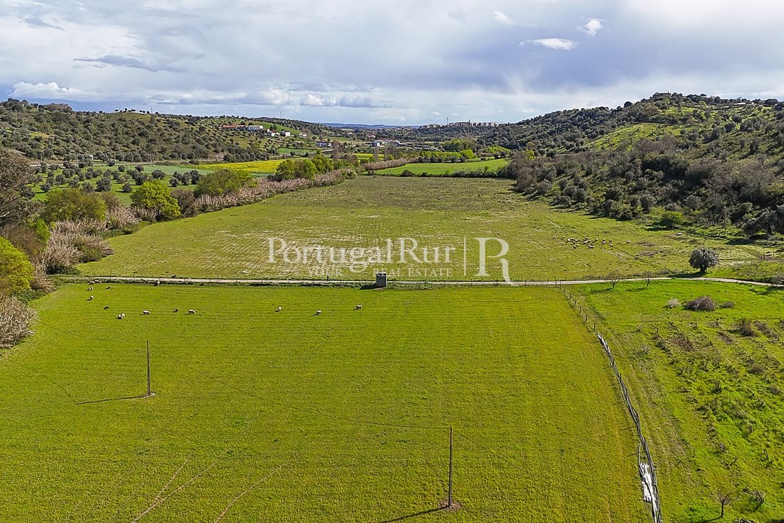 Finca a Cidade de Santarem, Distretto di Santarém, Portogallo 4 - 15595295