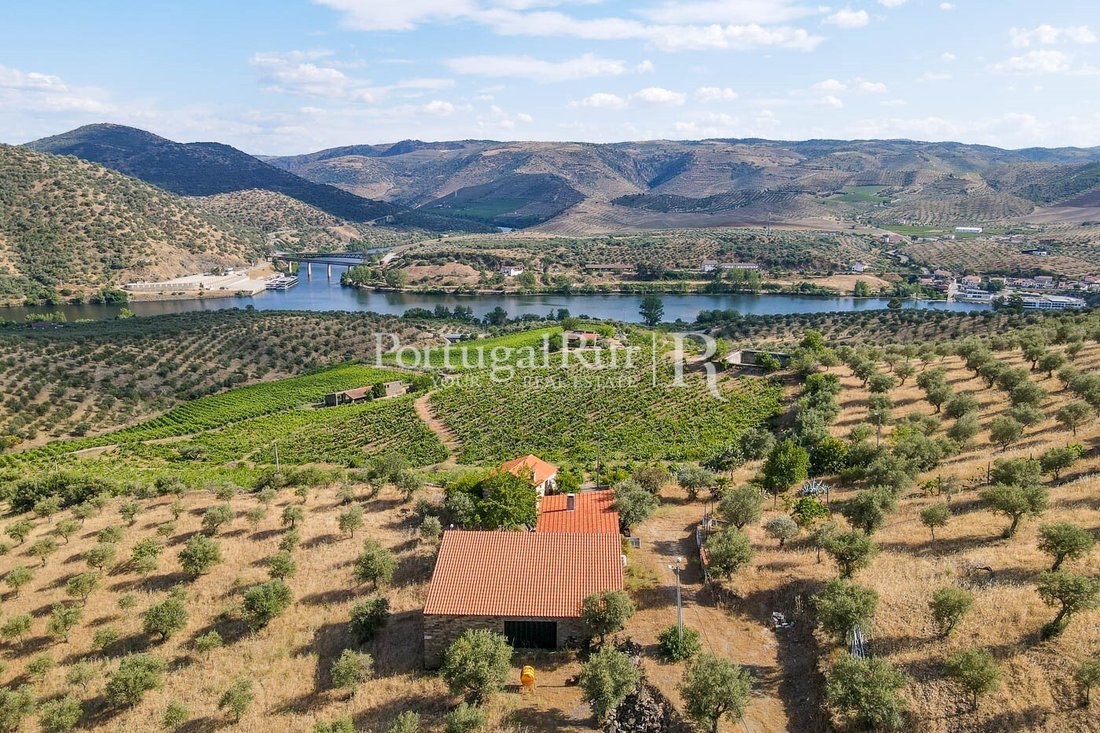 Finca in Escalhao, Guarda District, Portugal 1 - 14876566