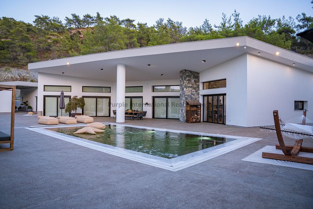Bungalow in Louvaras, Limassol, Cyprus 4 - 16712761