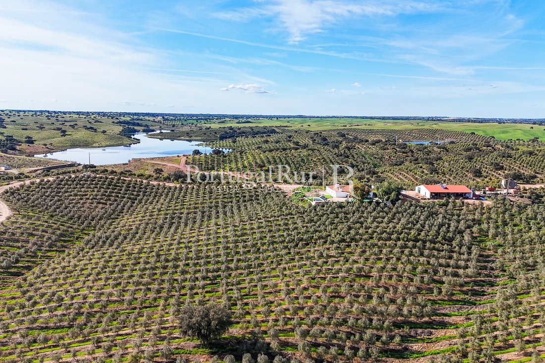Estate in Cabeca Gorda, Beja District, Portugal 5 - 16472537