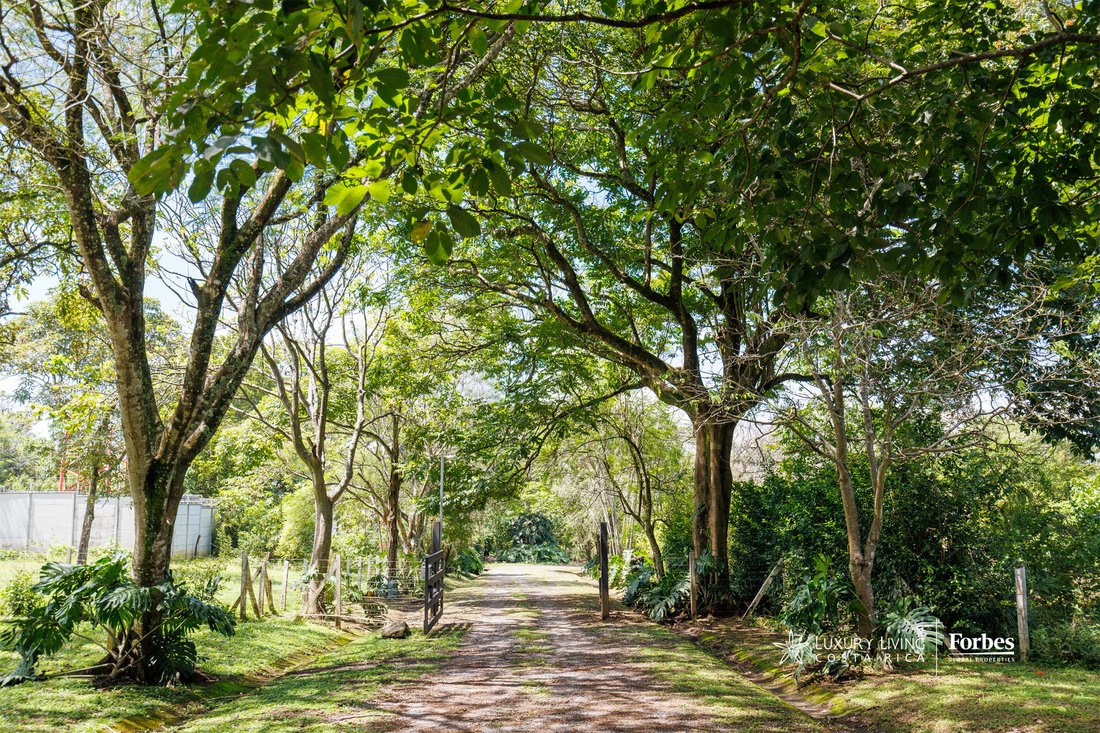 Land in Ciudad Colón, San José Province, Costa Rica 5 - 16712453