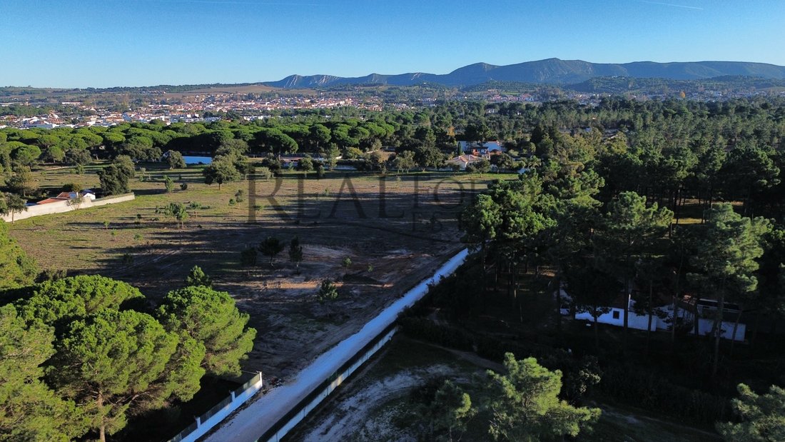 Land in Azeitao (Sao Lourenco e Sao Simao), Setubal, Portugal 2 - 15849354