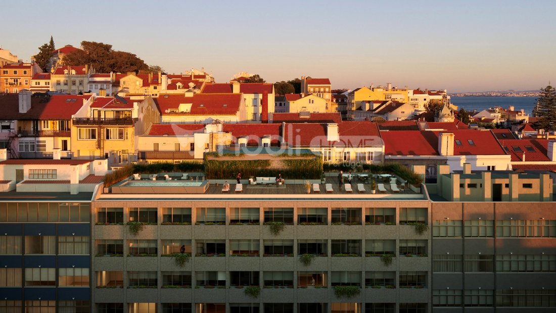 Estrela, Lisbon, Portugal 1 - 16599477