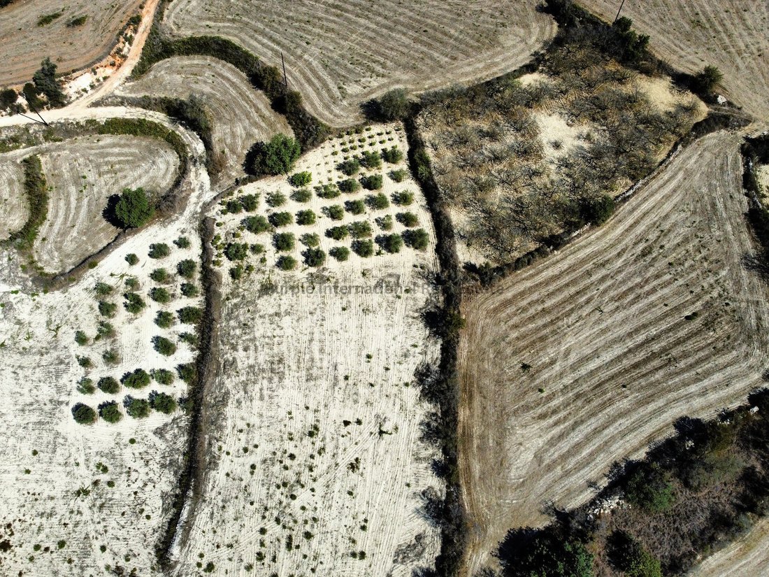 Koili, Paphos, Cyprus 2 - 16712204