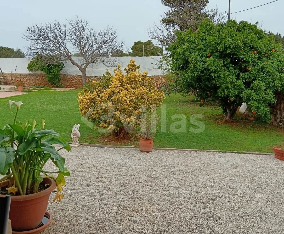 Country House in Ciutadella de Menorca, Balearic Islands, Spain 5 - 15378605