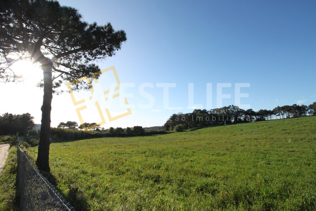 Land in Ericeira, Lisbon, Portugal 1 - 14191111