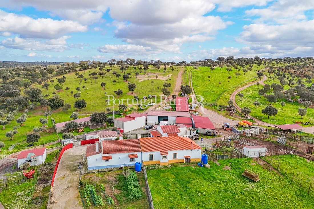 Estate in Sao Mancos e Sao Vicente do Pigeiro, Évora District, Portugal 2 - 15348500