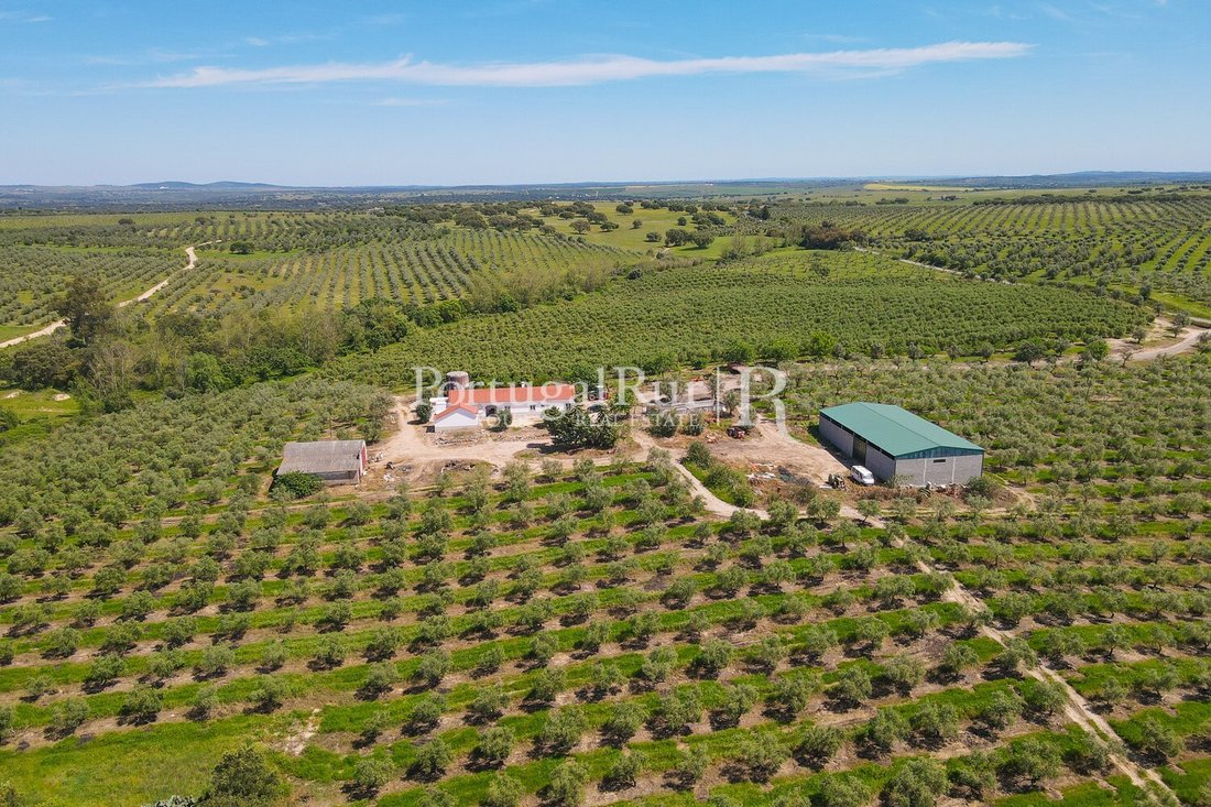 Estate in Fronteira, Portalegre District, Portugal 4 - 14168355