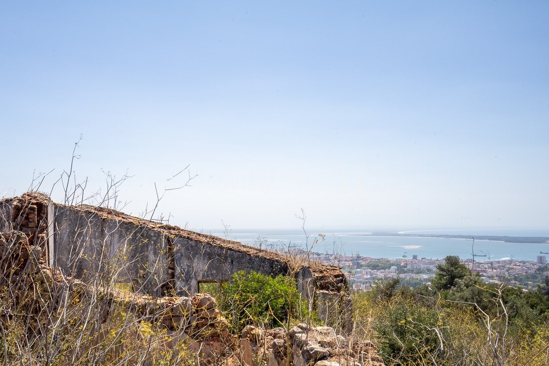 Finca in Sesimbra (Castelo), Setubal, Portugal 3 - 14752535