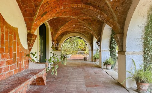 Finca in Sao Pedro, Lapas e Ribeira Branca, Santarem District, Portugal 1