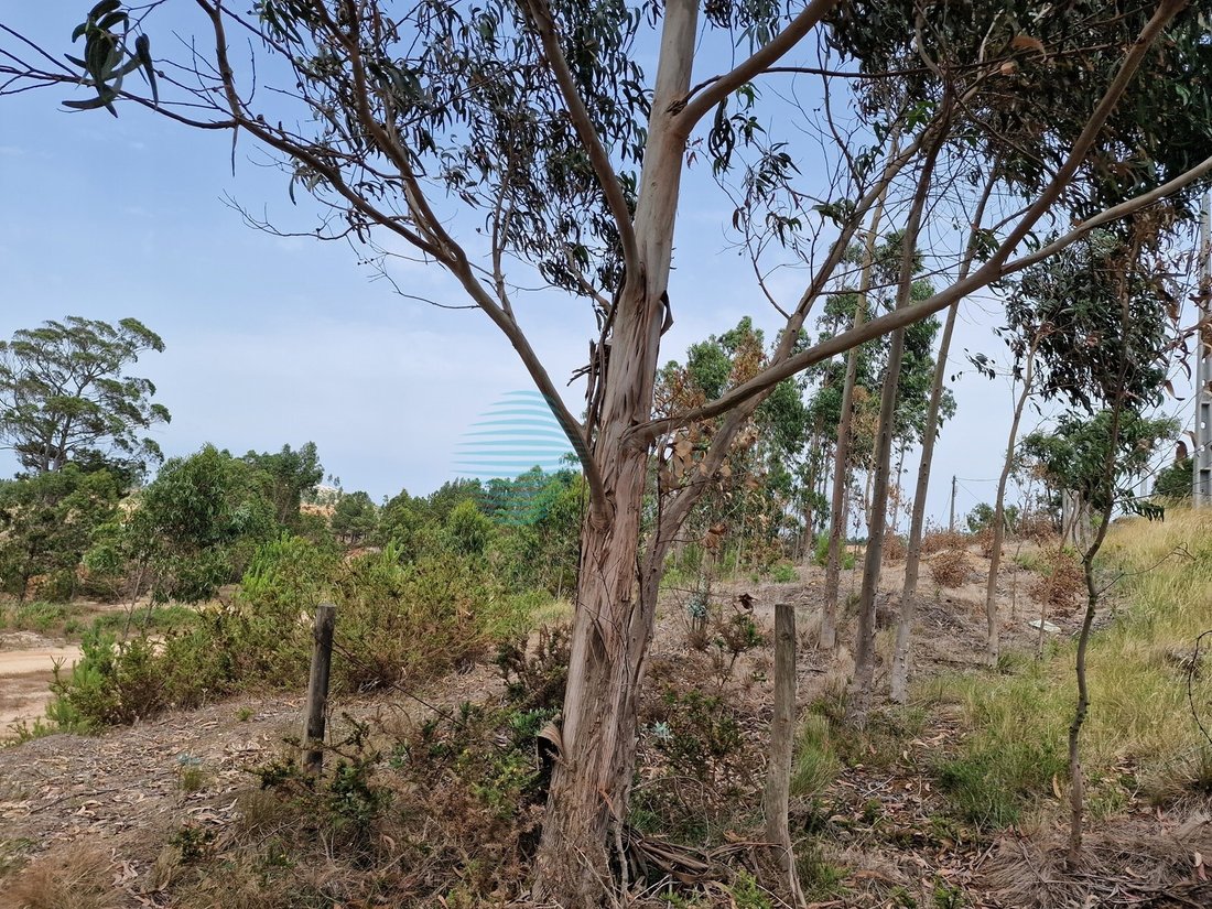 Land in Santa Maria, Sao Pedro e Matacaes, Lisbon, Portugal 5 - 12460609