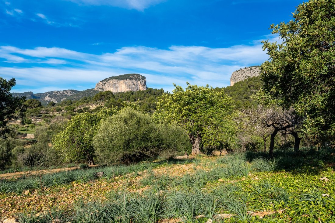 Country House in Alaro, Balearic Islands, Spain 3 - 13794356