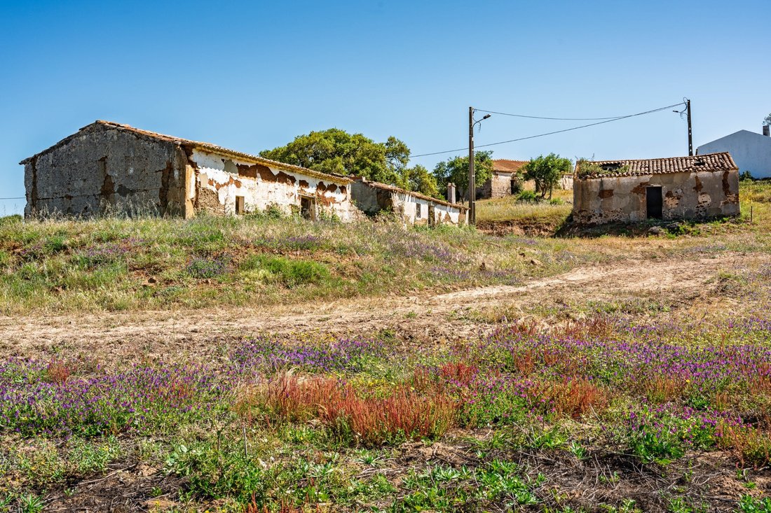 Finca in S.Teotónio, Beja District, Portugal 2 - 16392856