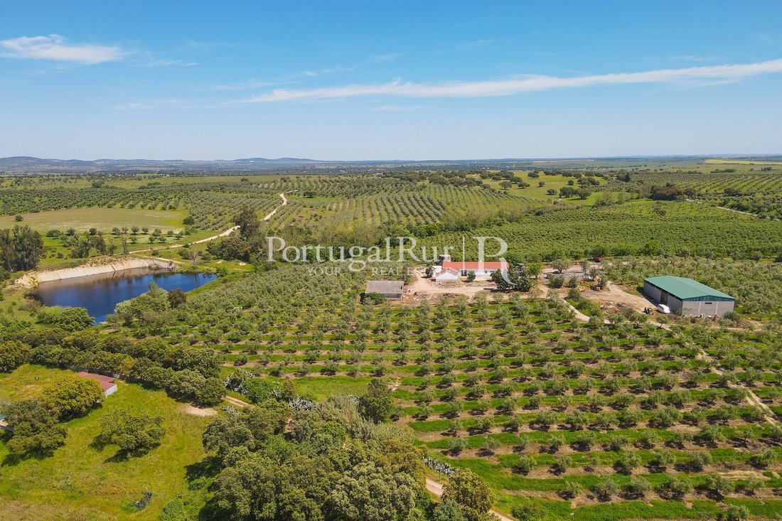 Estate in Fronteira, Portalegre District, Portugal 1 - 14168355