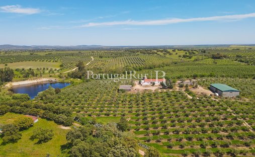 Domaine à Fronteira, Portalegre, Portugal 1