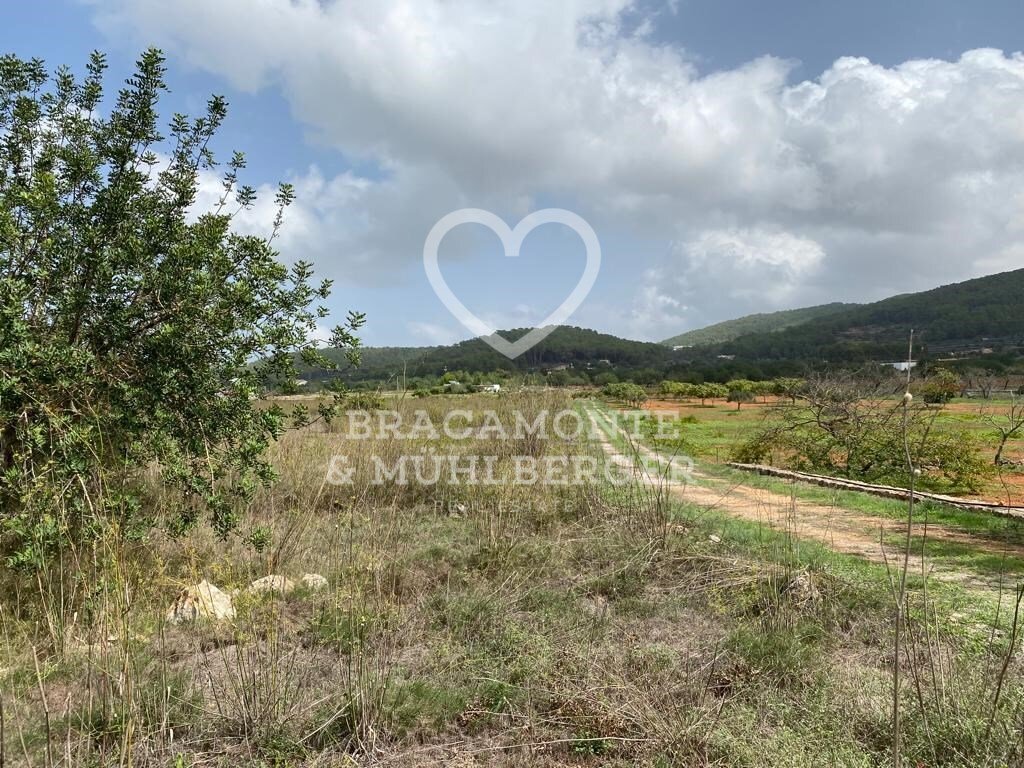 Finca in Spain 5 - 13285979