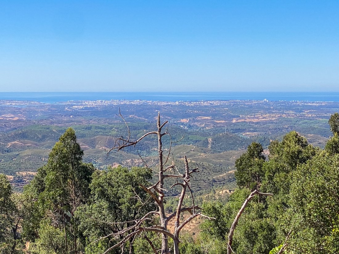 Finca in Monchique, Algarve, Portugal 4 - 16392642