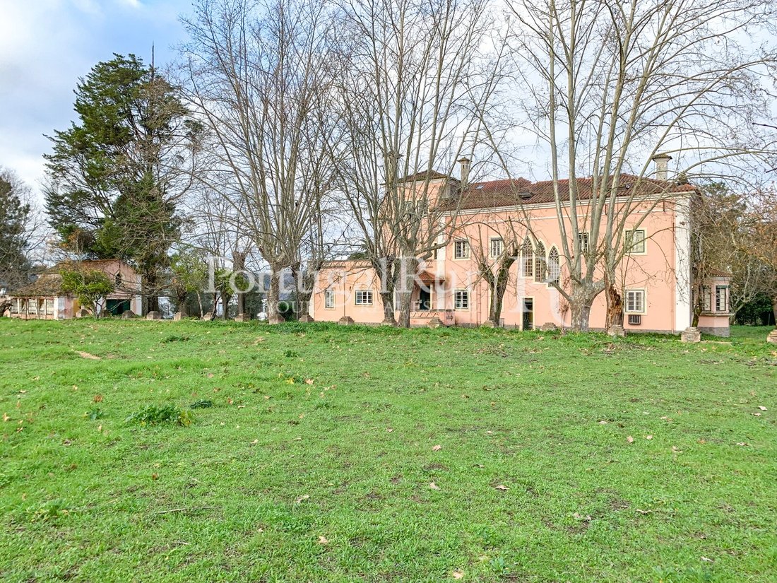 Finca in Abrantes (Sao Vicente e Sao Joao) e Alferrarede, Santarem District, Portugal 2 - 11289441