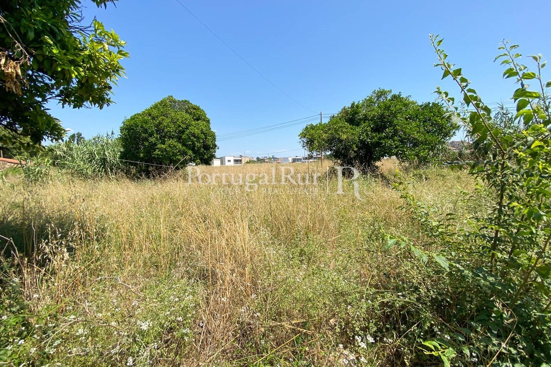 Land in Sao Martinho do Bispo e Ribeira de Frades, Coimbra District, Portugal 2 - 14876564