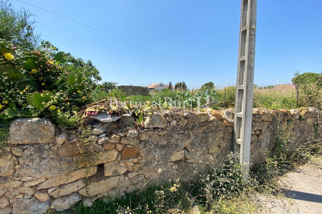 Land in Sao Martinho do Bispo e Ribeira de Frades, Coimbra District, Portugal 5 - 14876564