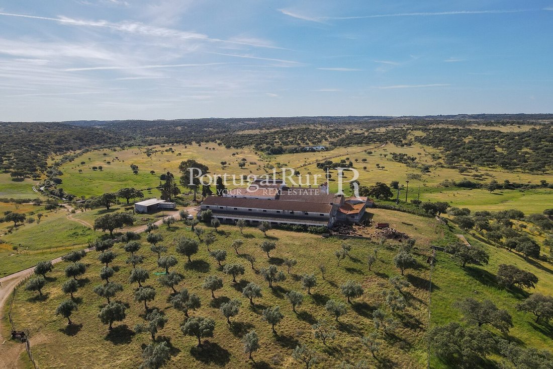 Estate in Monforte da Beira, Castelo Branco District, Portugal 5 - 14282501