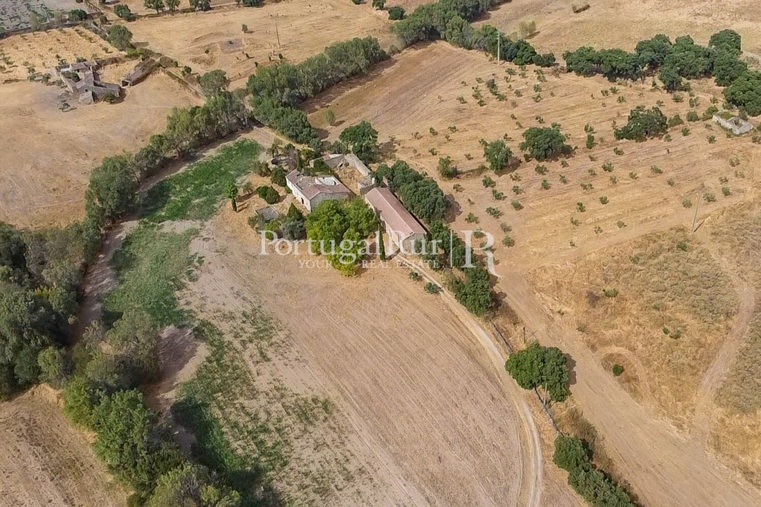 Estate in Castelo Branco, Castelo Branco District, Portugal 4 - 16543263