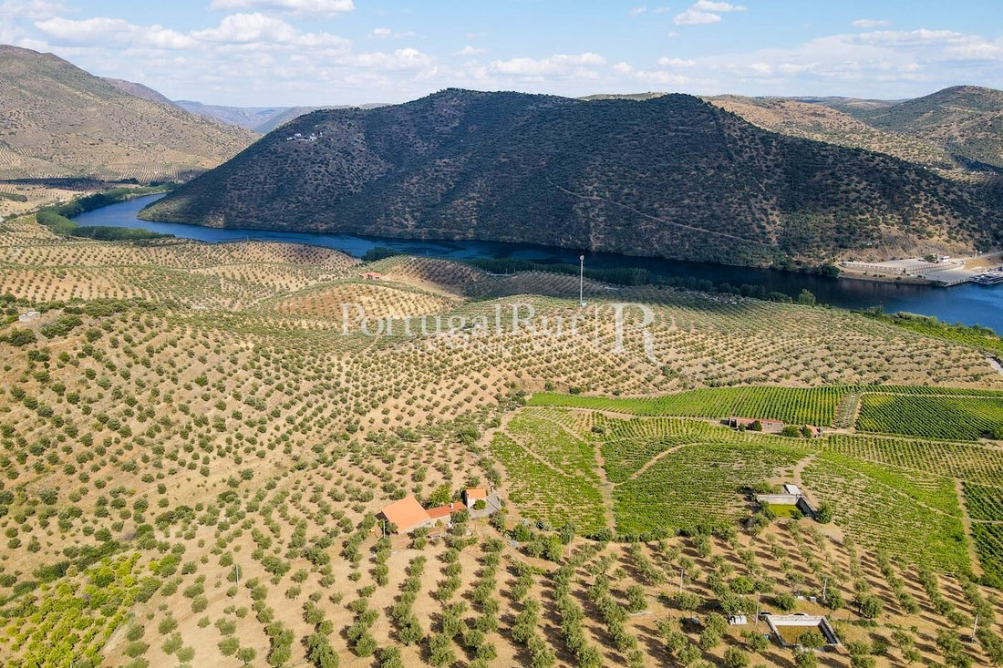 Finca in Escalhao, Guarda District, Portugal 4 - 14876566