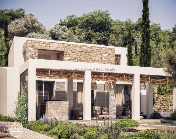 Villa in Poli Crysochous, Paphos, Cyprus 1 - 16712715