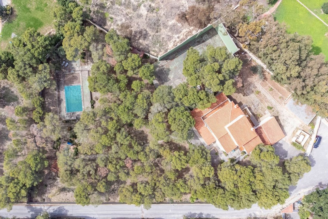 Villa in Alicante, Valencian Community, Spain 2 - 15796230