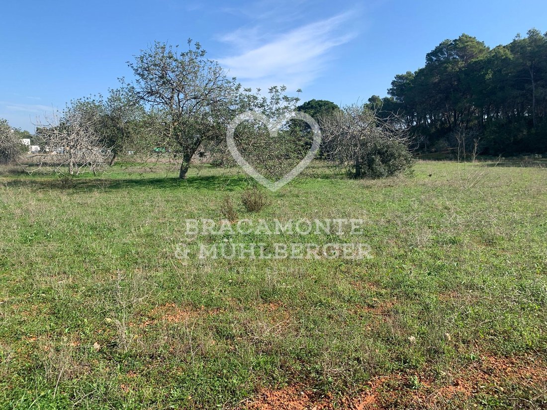 Land in Santa Gertrudis de Fruitera, Santa Eularia des Riu, Balearic Islands 3 - 14945104