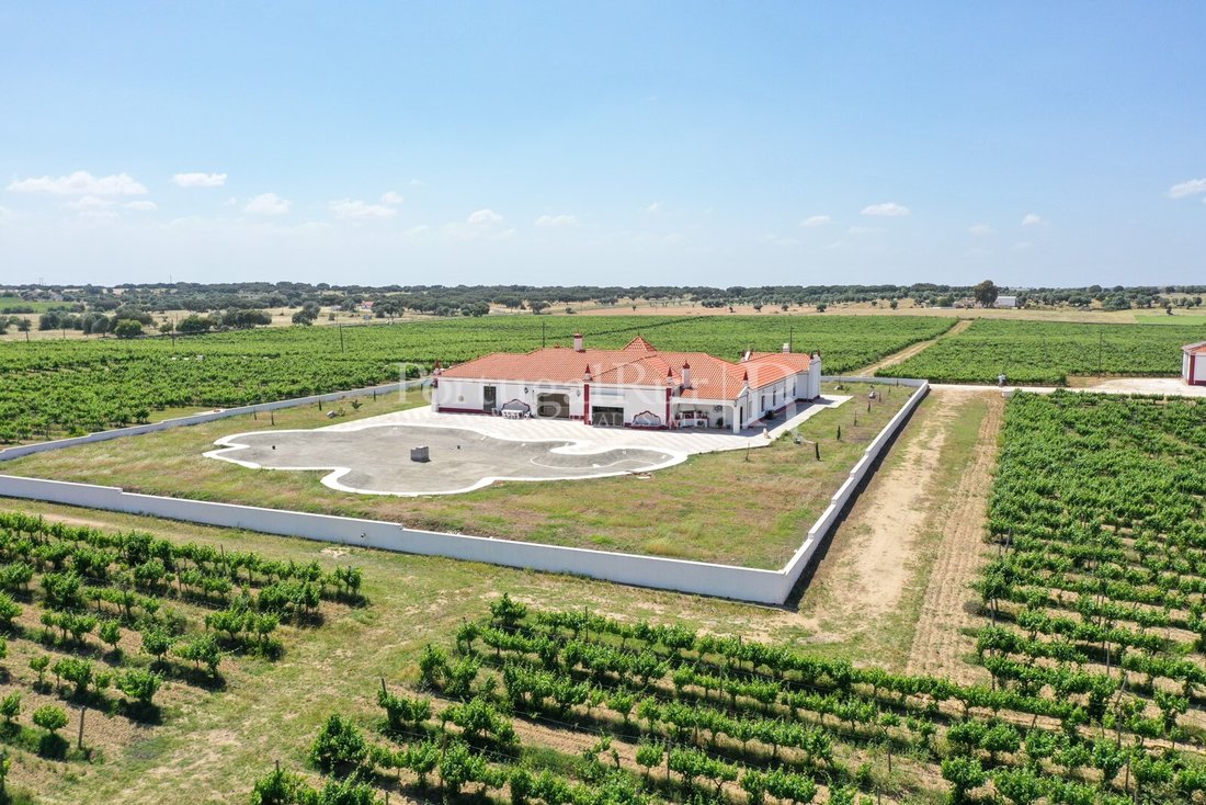 Estate in Corval, Évora District, Portugal 2 - 16517320
