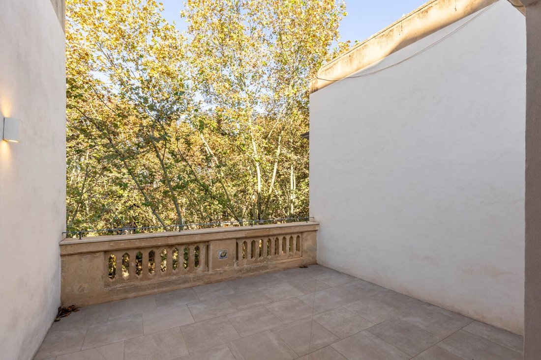 Apartment in Palma, Balearic Islands, Spain 2 - 15172043