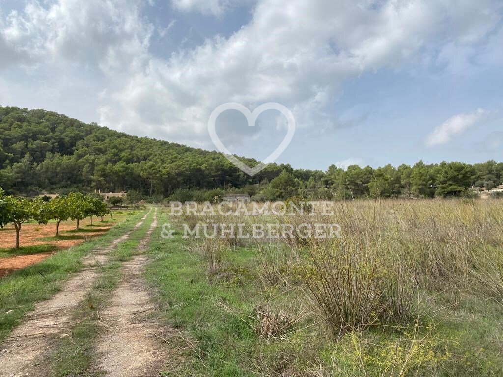 Finca in Spain 4 - 13285979