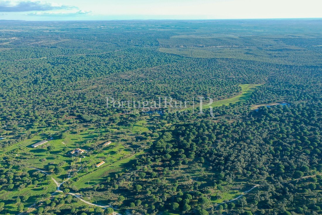 Estate in Vendas Novas, Évora District, Portugal 4 - 15047246