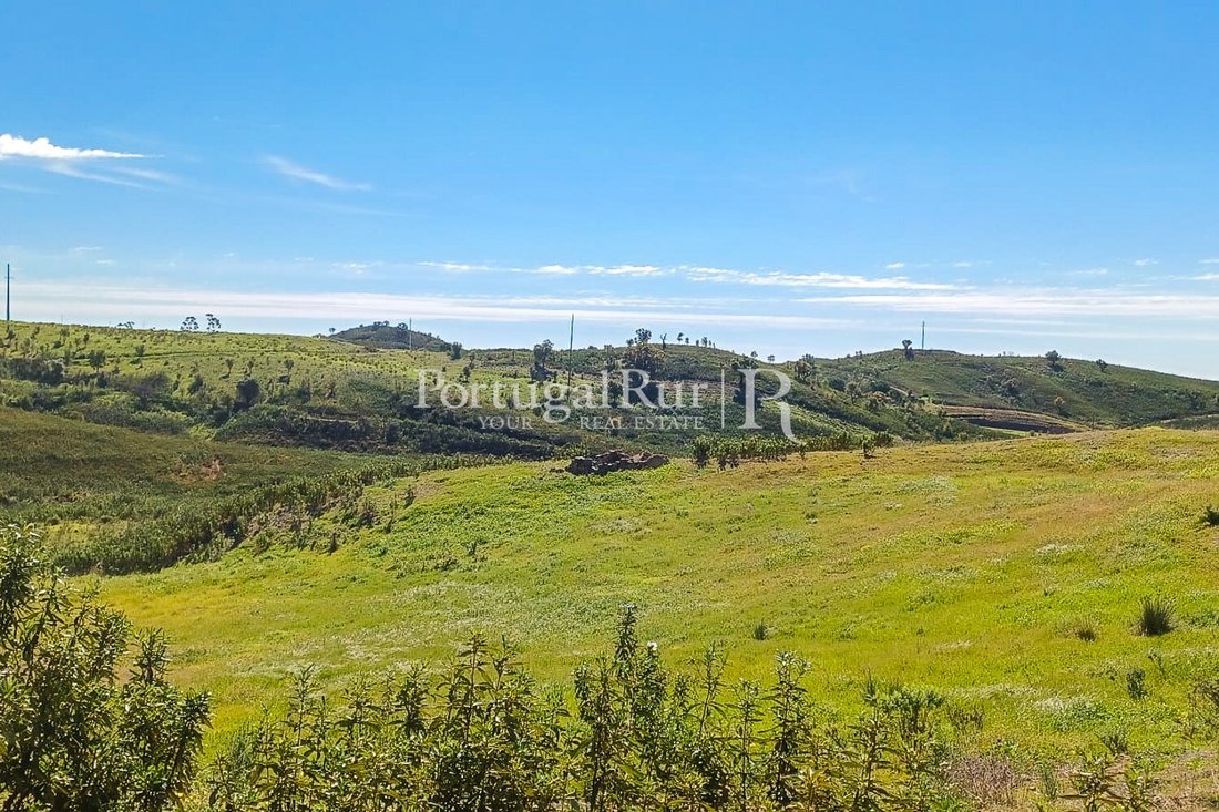 Land in Portimao, Algarve, Portugal 3 - 16296277