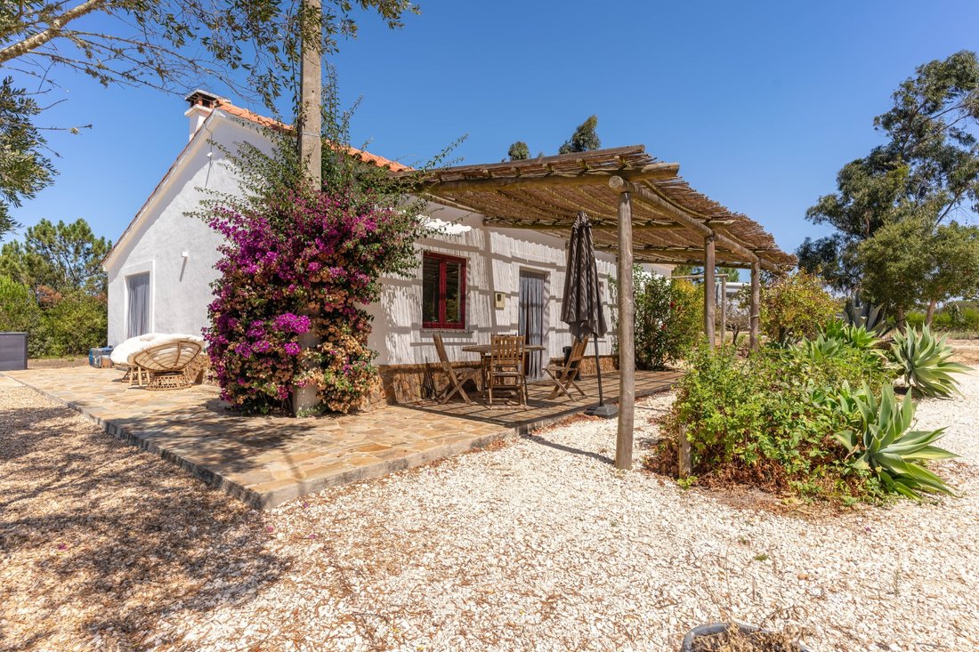 Finca in S.Teotónio, Beja District, Portugal 1 - 16392618