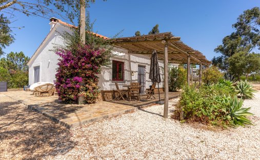 Finca in S.Teotónio, Beja District, Portugal 1