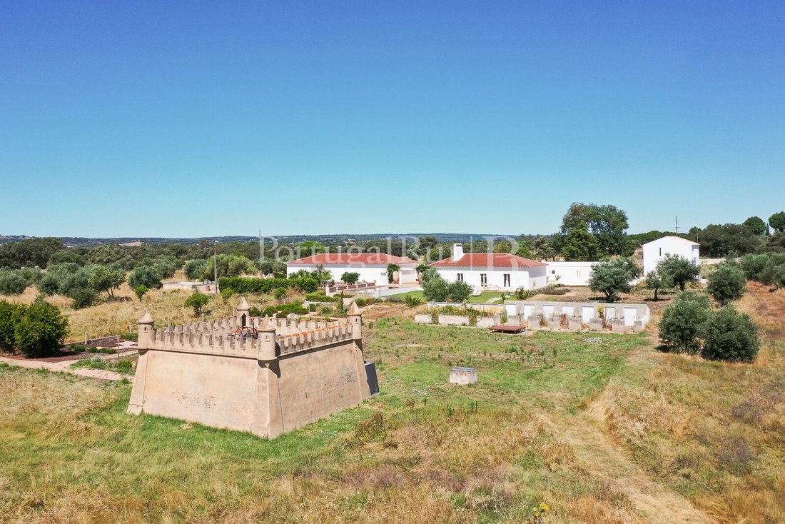 Finca in Evora (Sao Mamede, Se, Sao Pedro e Santo Antao), Évora District, Portugal 3 - 14509190