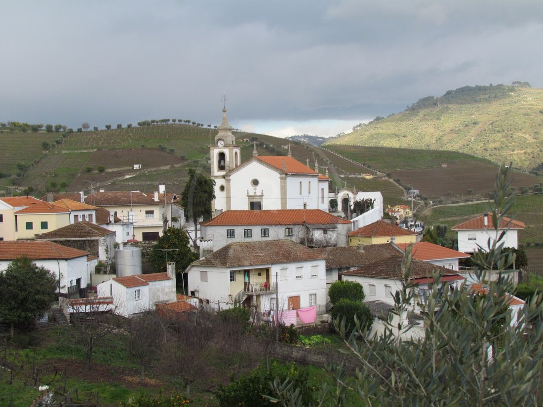 Finca in Lobrigos (Sao Miguel e Sao Joao Baptista) e Sanhoane, Vila Real District, Portugal 4 - 12094743