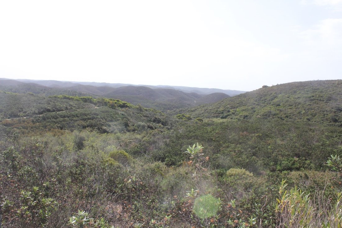 Land in Bordeira, Algarve, Portugal 4 - 16392849
